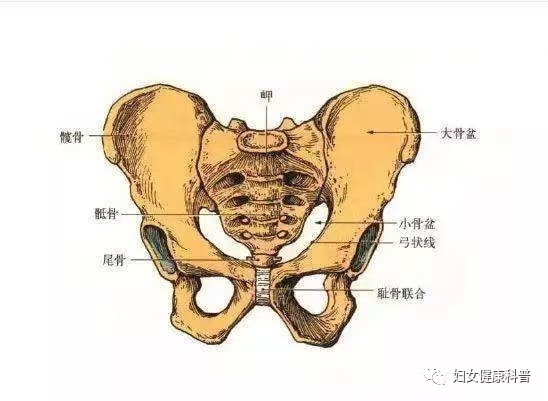 微信图片_202101040856421.jpg