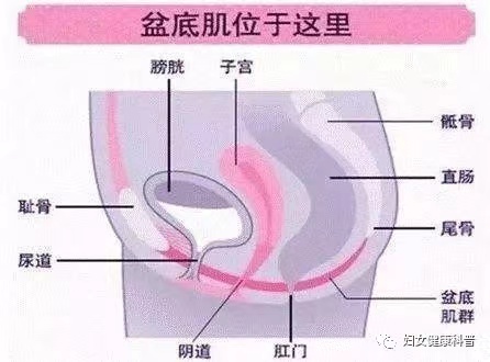 微信图片_202101040856424.jpg