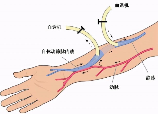 1750902594439600.jpg 640.jpg